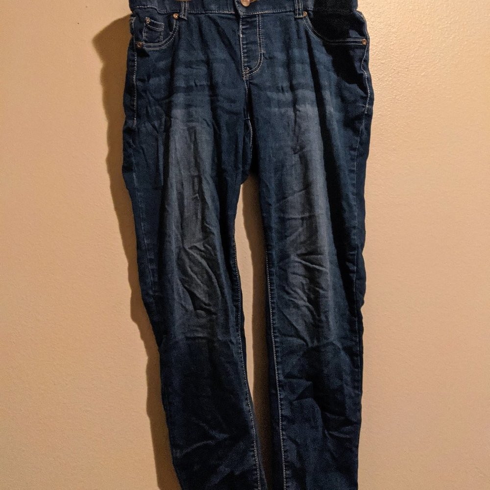 Ariya Plus Size Jeans